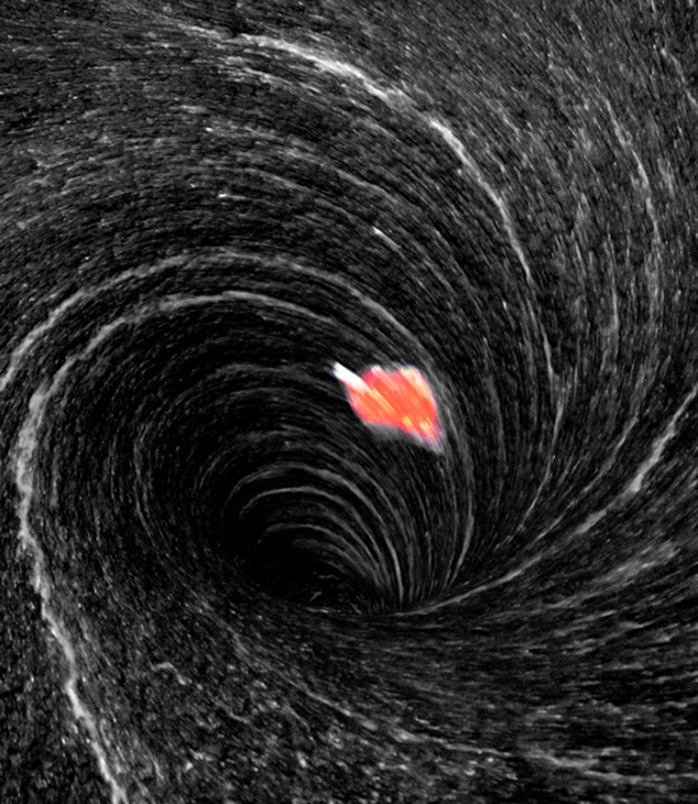 Dark whirl of swirling paper pulp with a single red packaging fragment, presented as a dynamic abstract visual